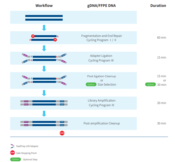 nadprep ez dna library preparation kit for illumina dna library nanodigmbio nanjing biotechnology co ltd