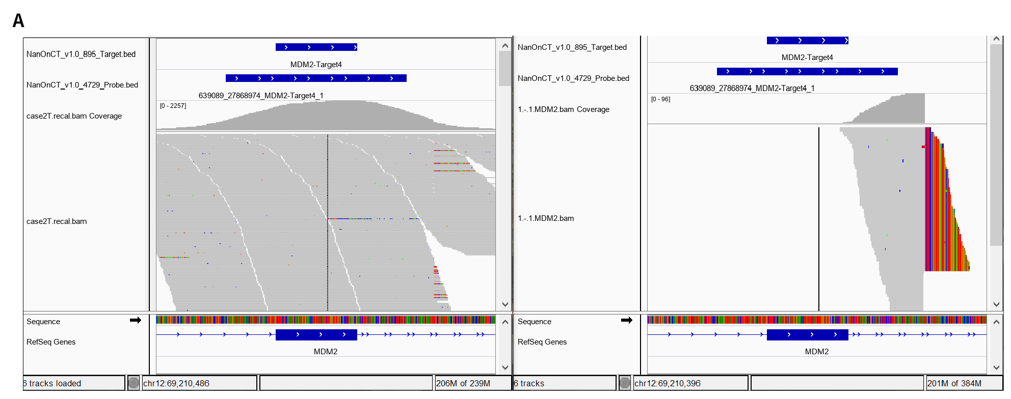 4A_Illumina_MDM2