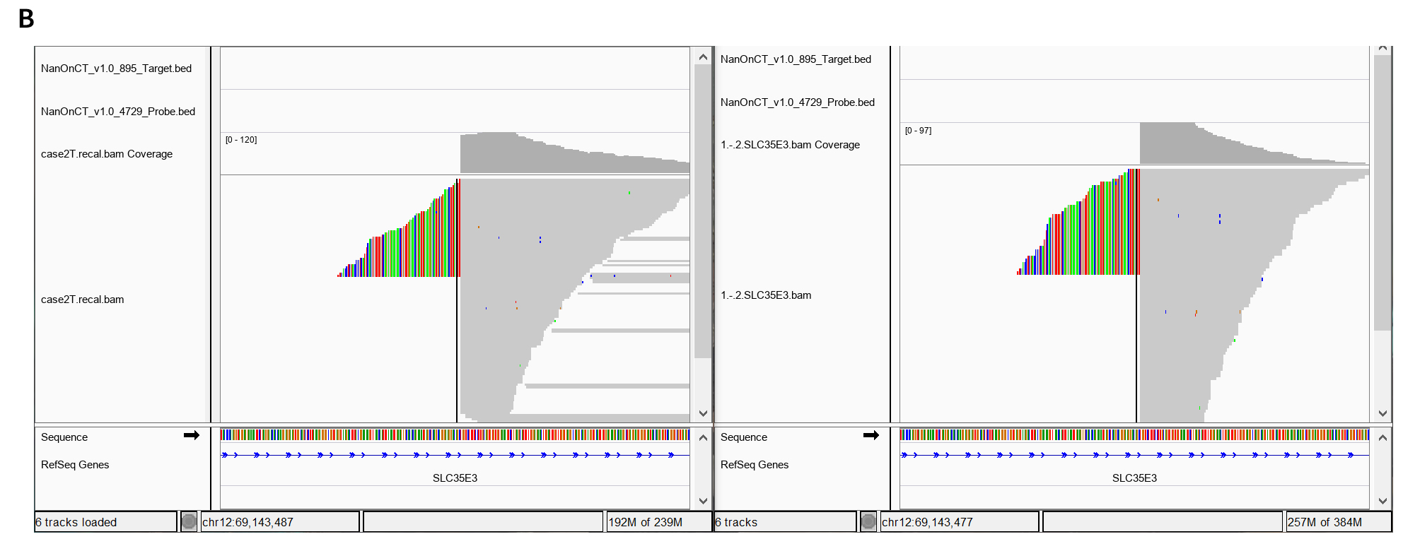 4B_Illumina_SLC35E3