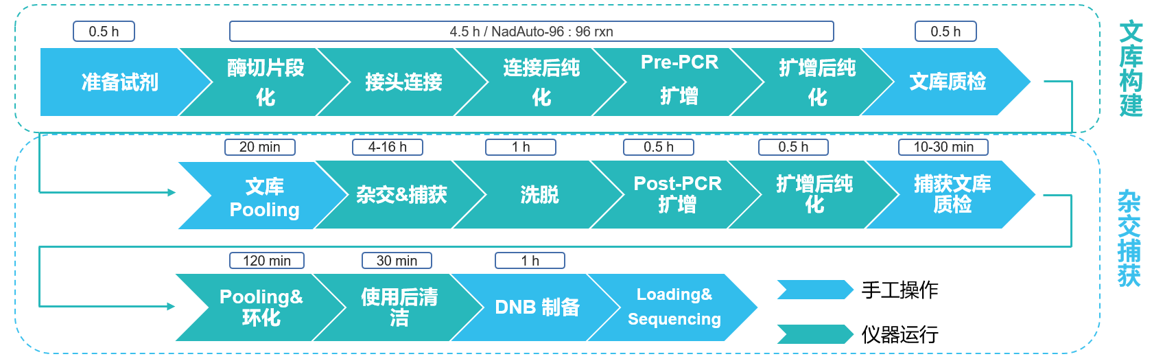 流程11