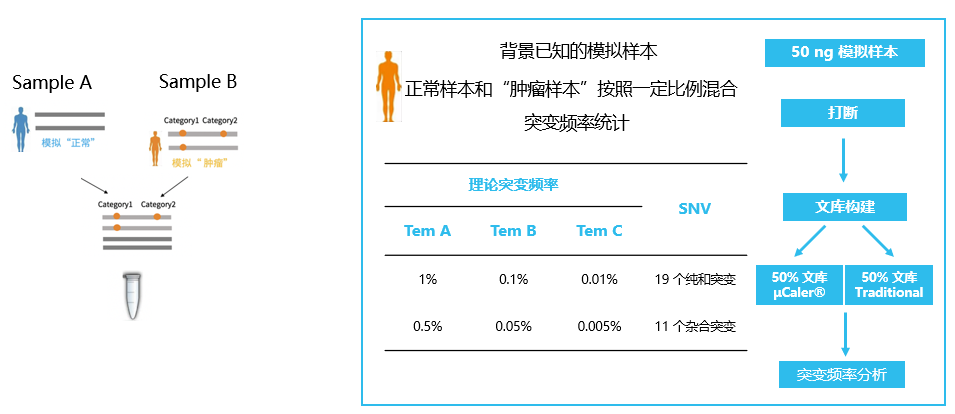 图片2.1