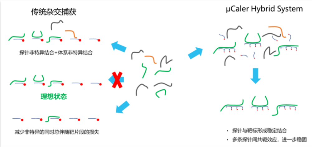 原理图(1)