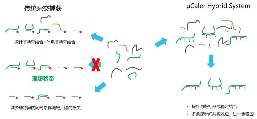 探针