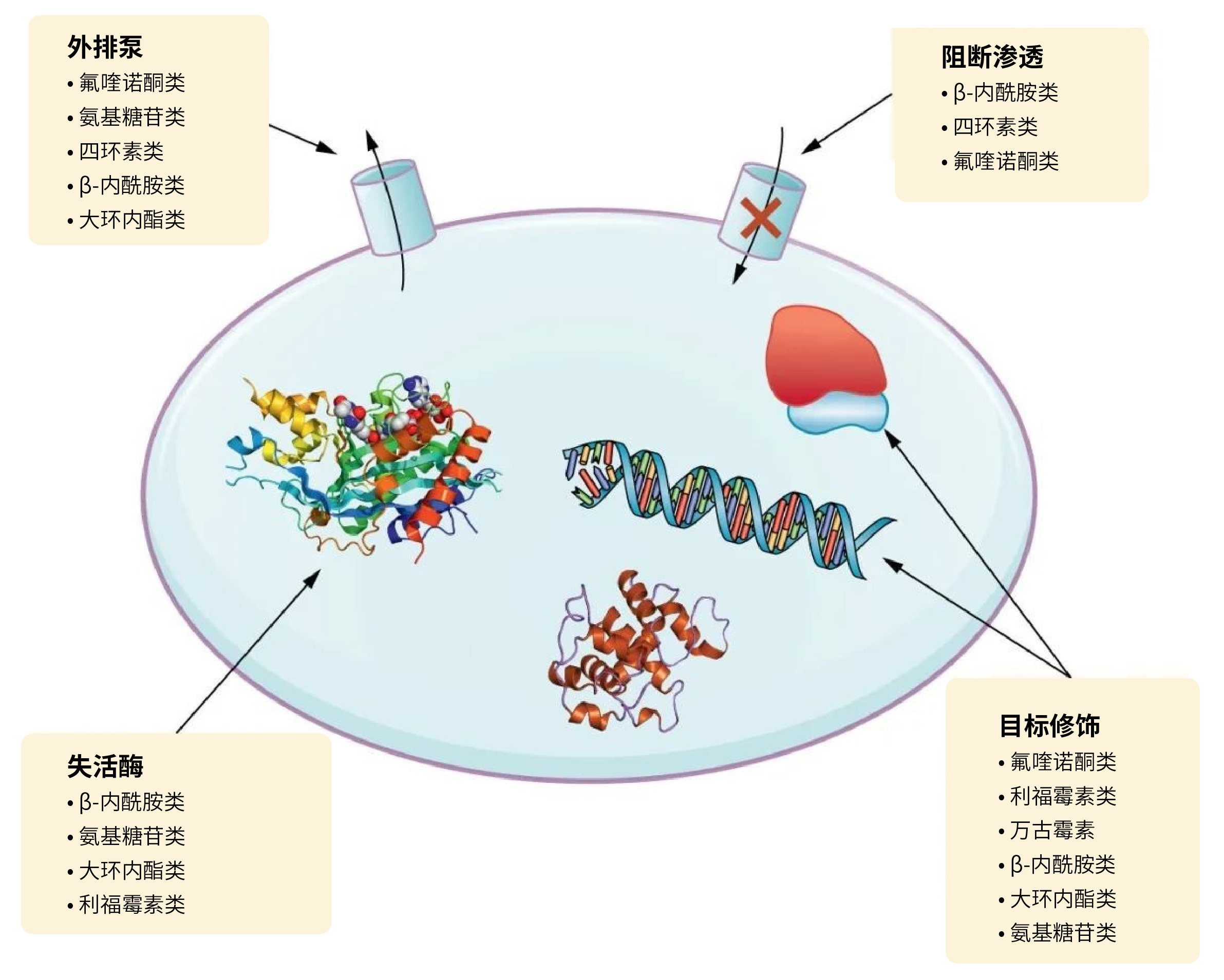 图2R-01