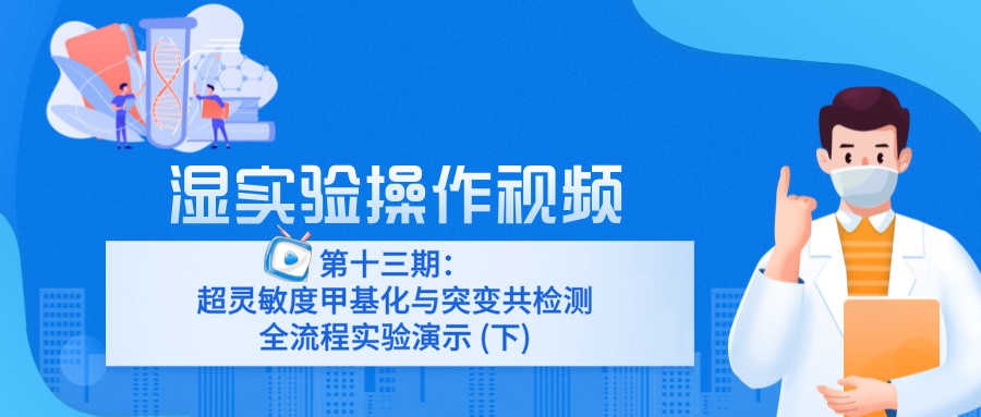 第十三期：超灵敏度甲基化与突变共检测全流程实验演示 (下)