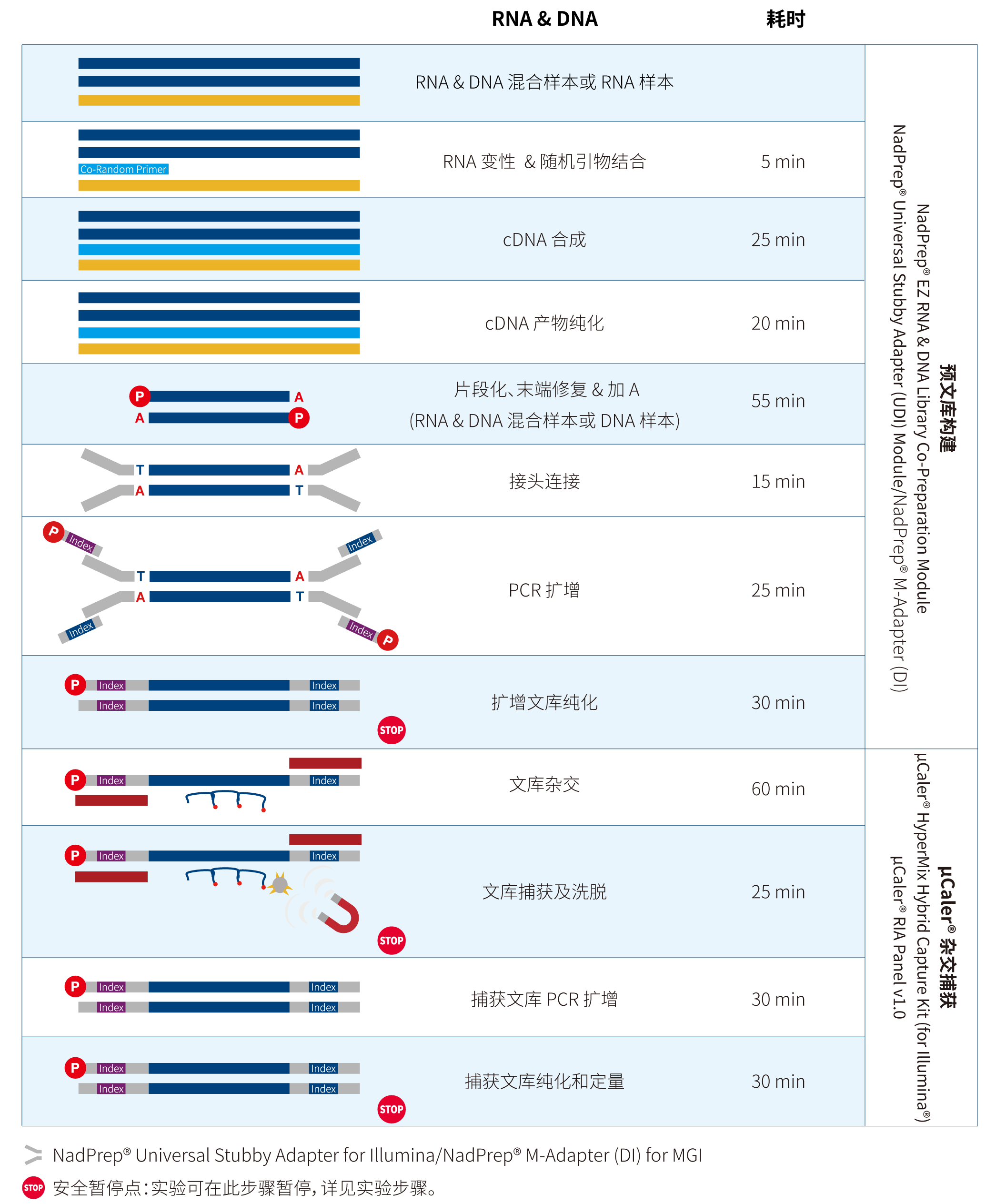 流程图-for illumina_CN-修改接头为双端-01