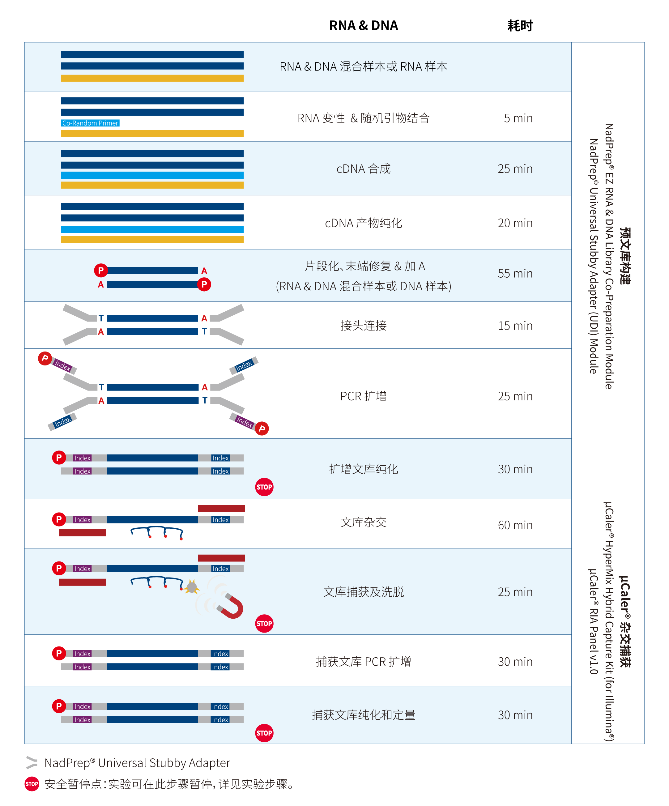 流程图-for illumina_CN-2605-01 流程图-for illumina_CN-2605-01