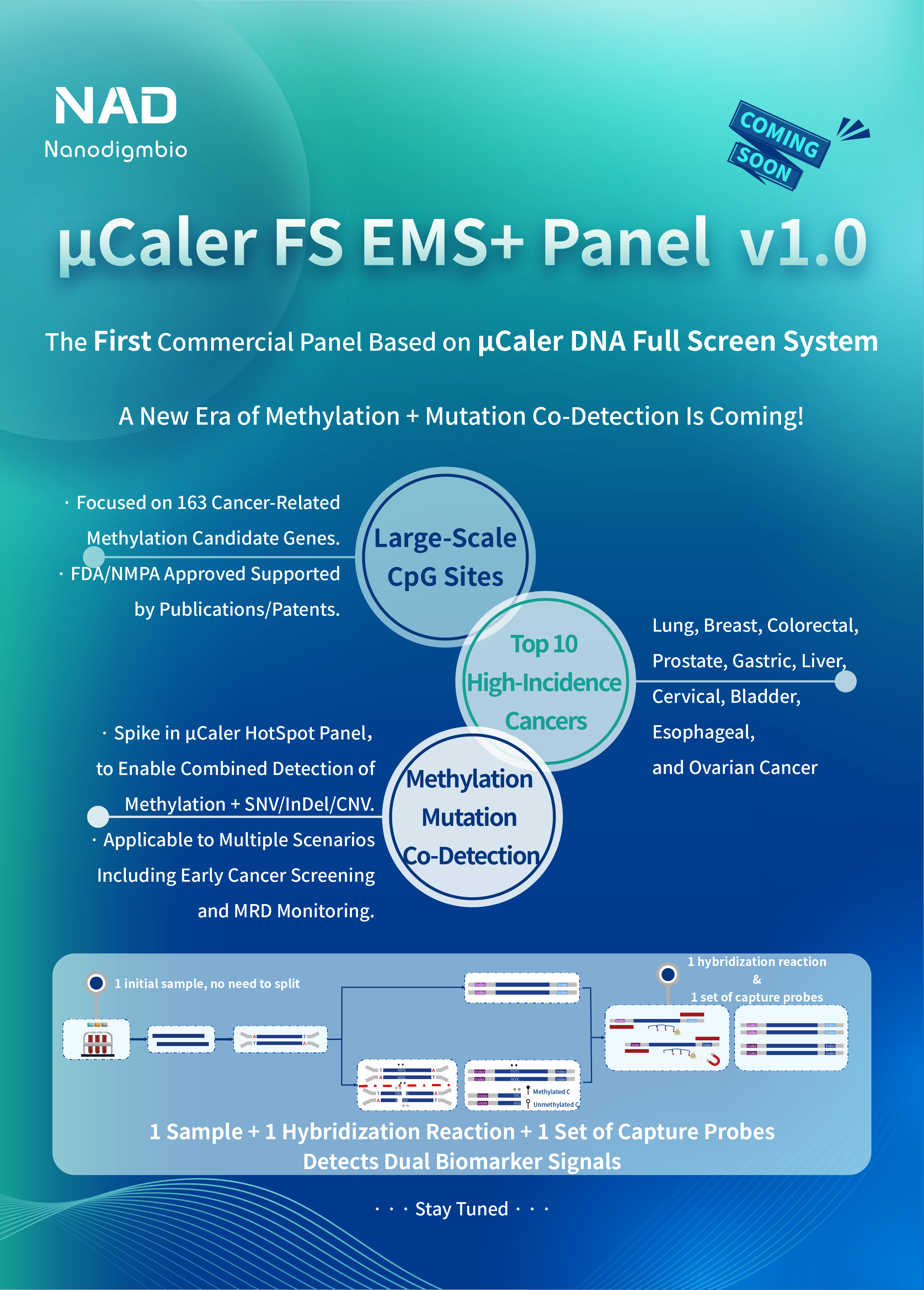 0723D-EN-01-高亮 0723D-EN-01-高亮
