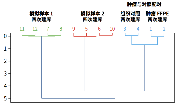 图1 配对 图1 配对