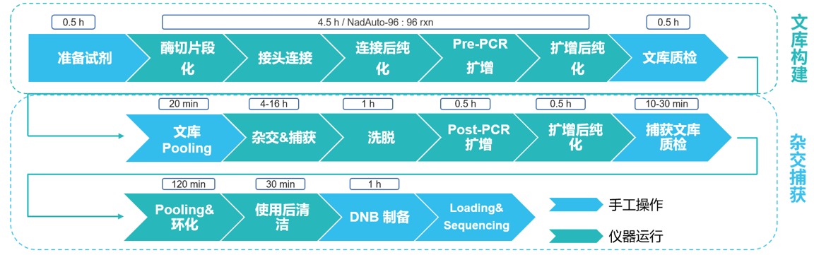 流程11 流程11