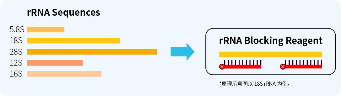 原理图-2-02 原理图-2-02