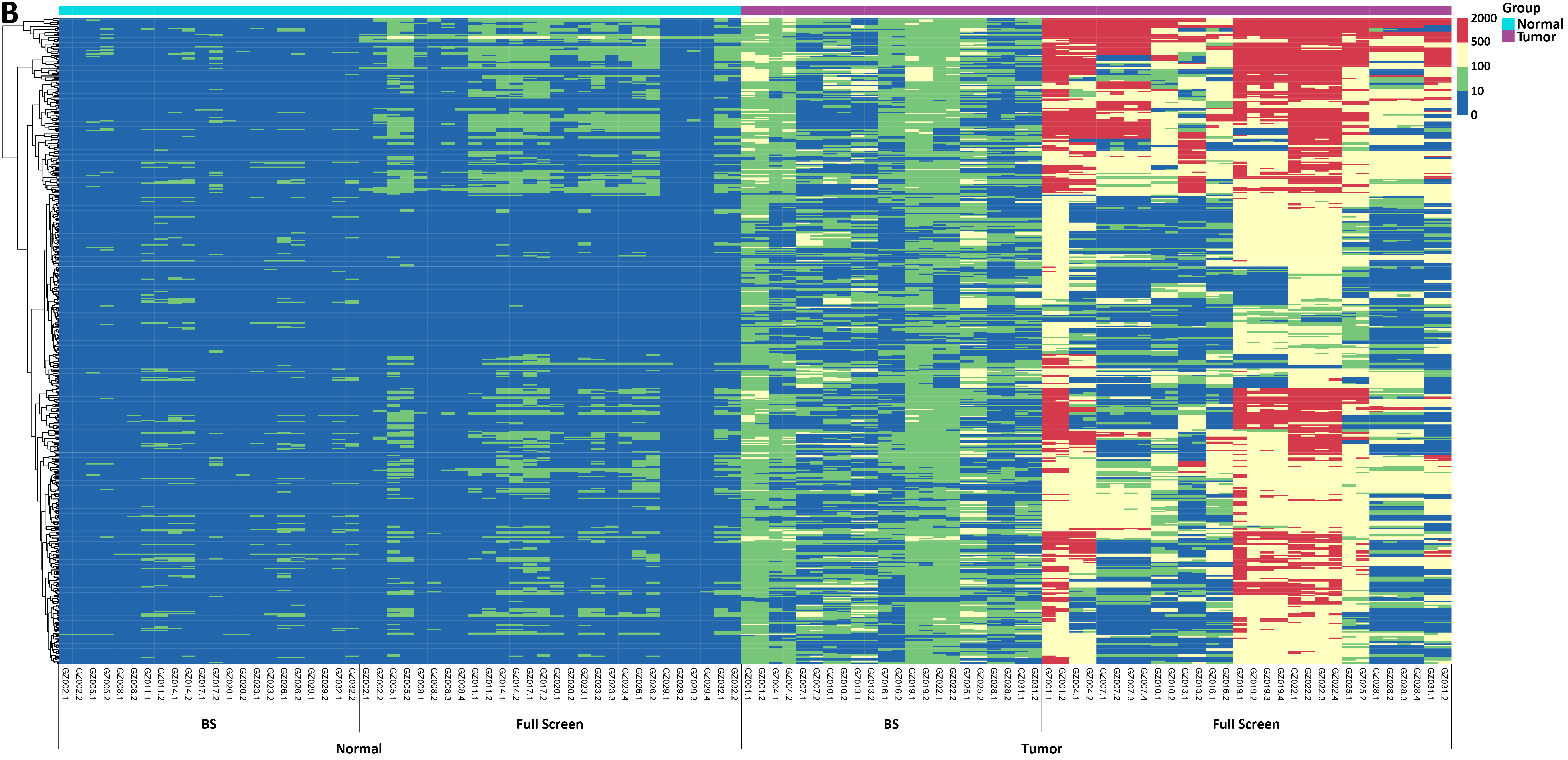 B-depth-0924A B-depth-0924A