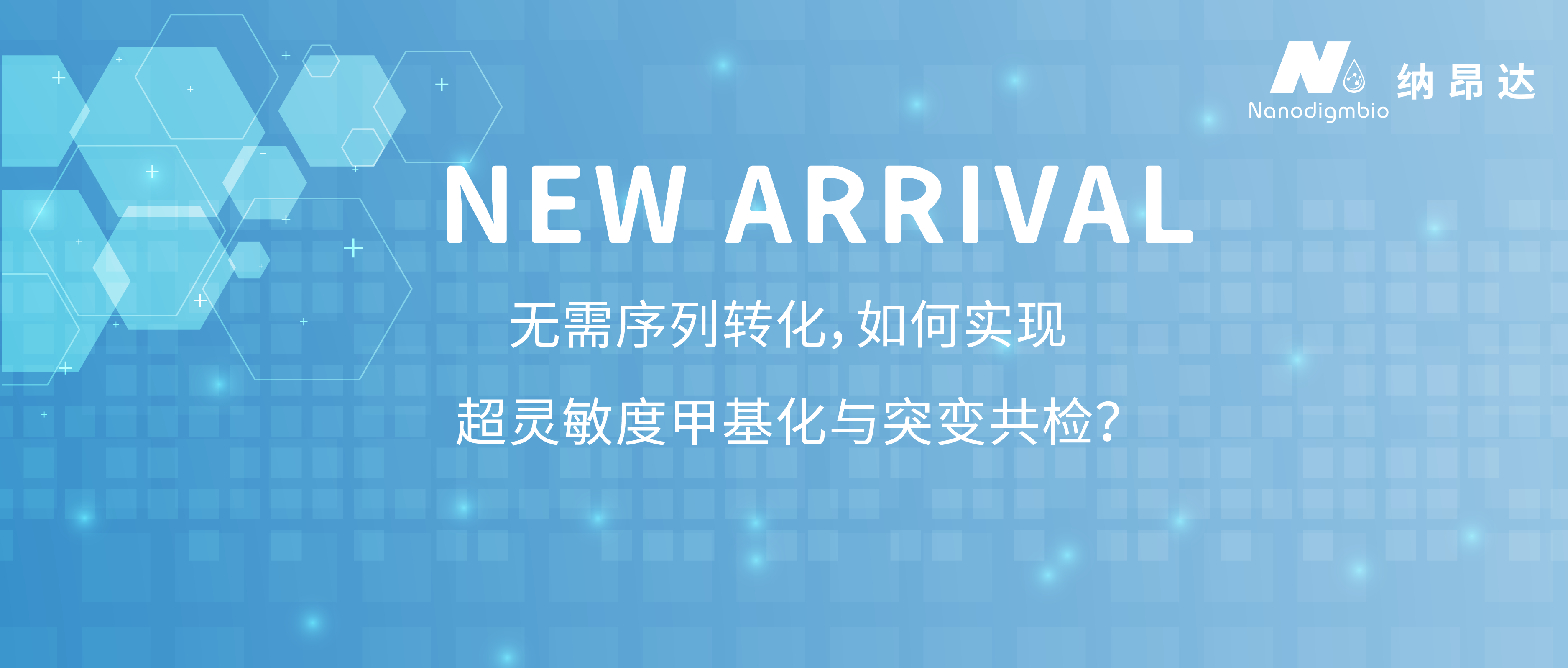 新品发布banner-1:1_画板 1 新品发布banner-1:1_画板 1