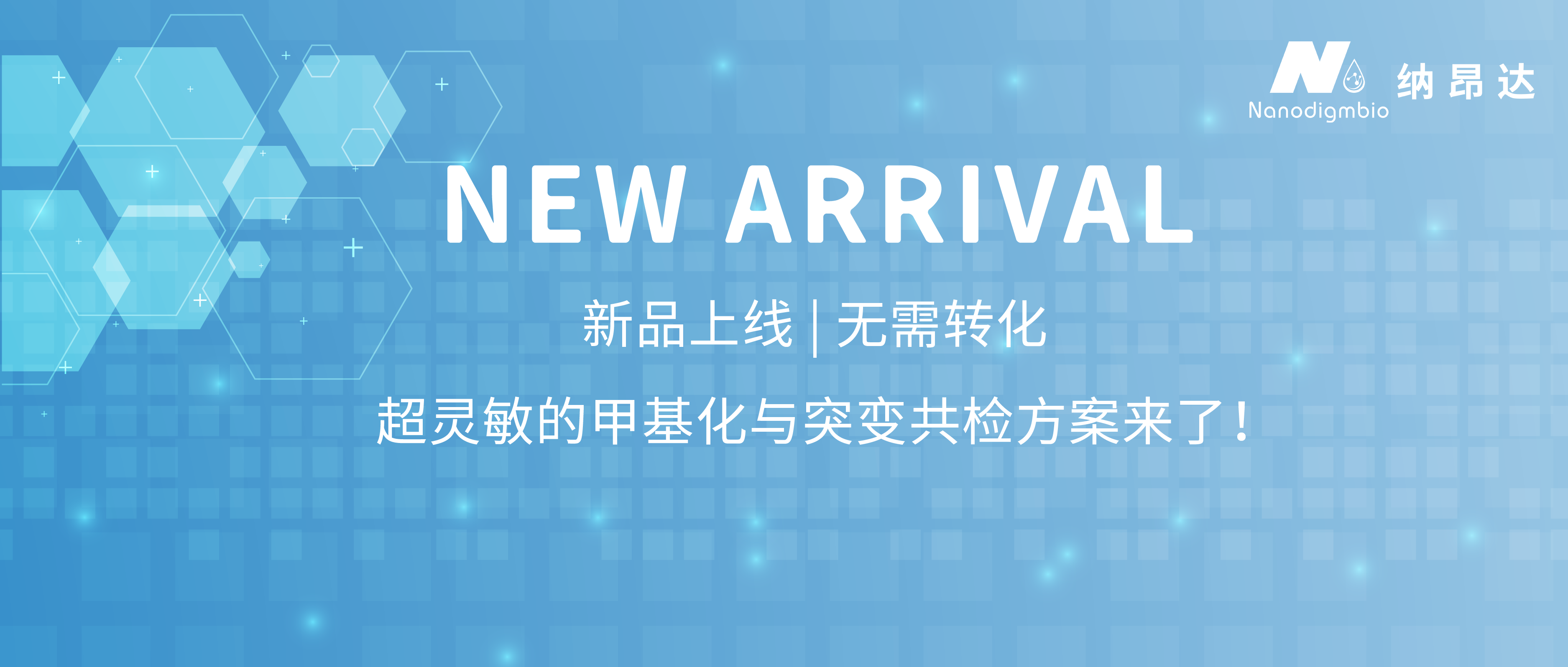 新品发布banner-1:1_画板 1 新品发布banner-1:1_画板 1